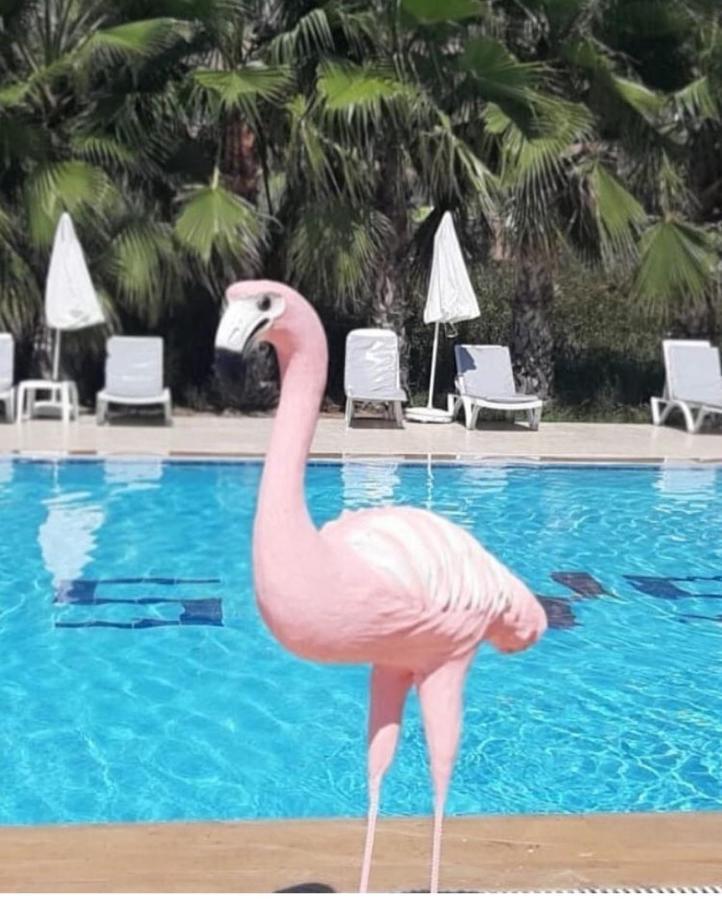 Skys Beach Hotel 马纳夫加特 外观 照片