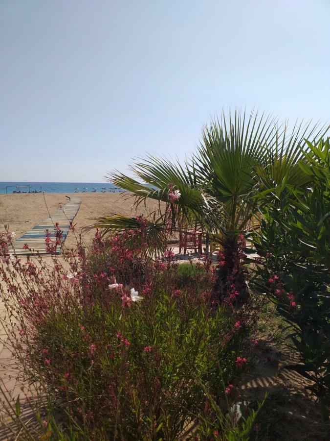 Skys Beach Hotel 马纳夫加特 外观 照片